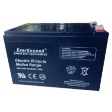Аккумуляторная батарея EverExceed DZM 12-12