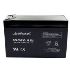 Аккумуляторная батарея EverExceed MG 6-7.5G
