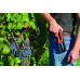 Ножницы для обрезки винограда Bahco P127-19