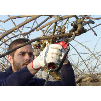 Пневмосекатор LISAM SANA SLY